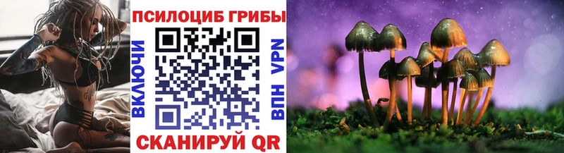 Галлюциногенные грибы мицелий  Пересвет 
